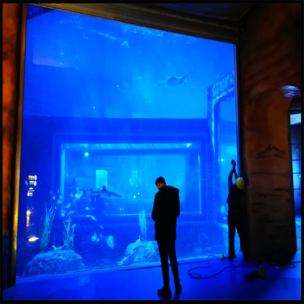 Inmergere in Profundum Aquarium Cum Tunnello Acrylico