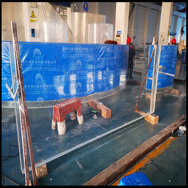Why Large Acrylic Pools Are the Ultimate Choice