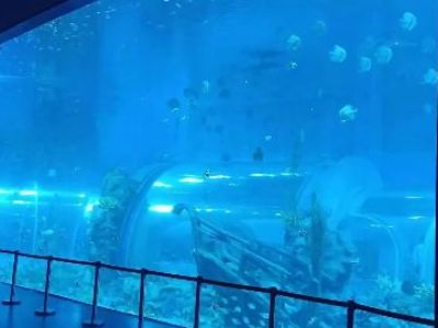 The Role of Acrylic in Modern Aquarium Tunnels and Displays