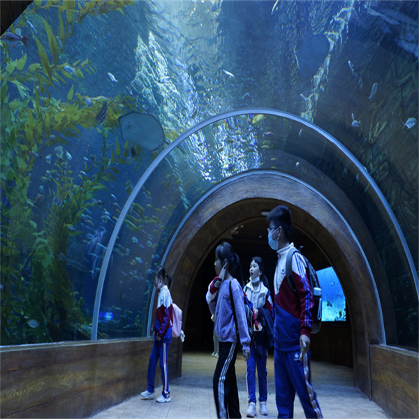 Танкед је водећи произвођач акрилових акваријума у САД. Познати су по својим иновативним дизајнима и изузетном занатству. Неки од њихових најпопуларнијих дизајна укључују: