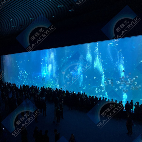 Ветераны содержания аквариумов делятся своим опытом