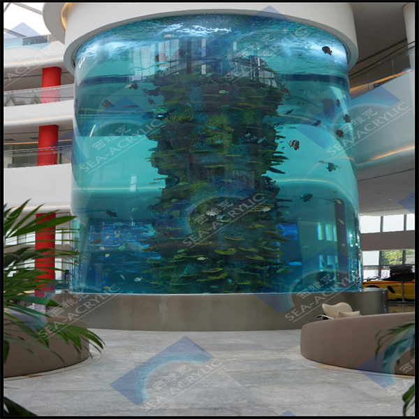 I migliori 10 acquari in acrilico per la tua casa