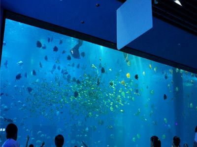 The Engineering Behind Large Acrylic Tube Aquariums