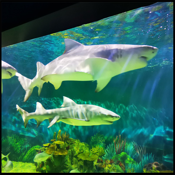 Upgrade your household du00e9cor with a modern and spacious acrylic fish tank.