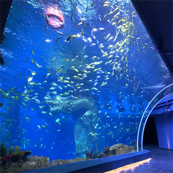 Balıklarınız İçin Yuvarlak Akrilik Bir Tank Seçmenizin Nedenleri