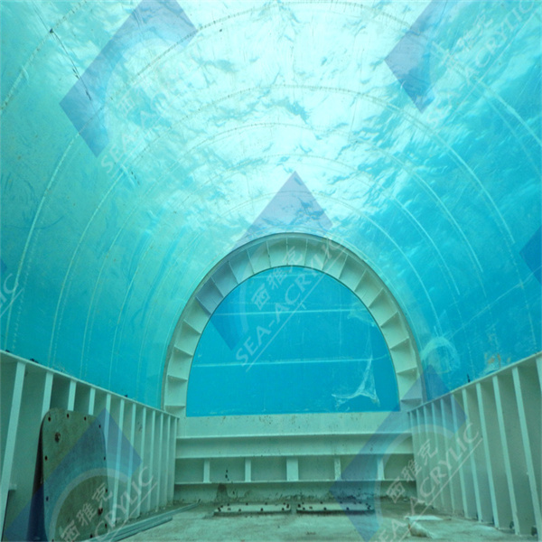 Luxurious design options for acrylic swimming pools