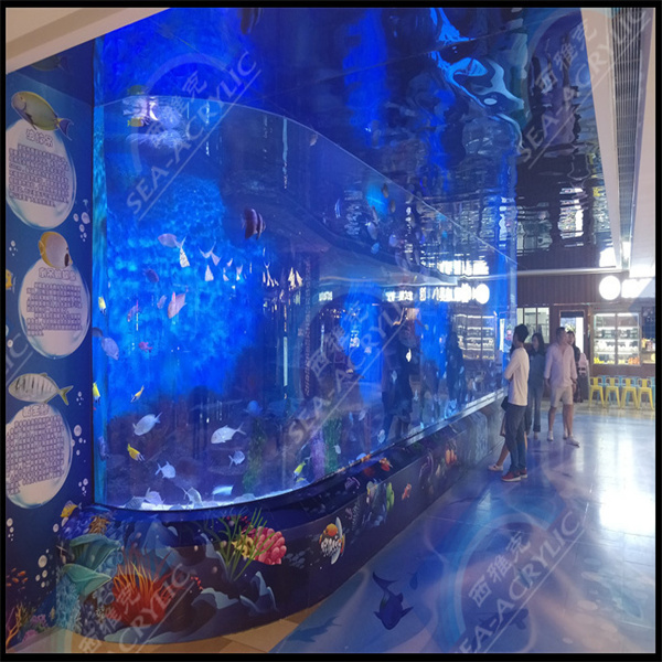 Kaip palaikyti savo akvariumą švariu ir skaidriu