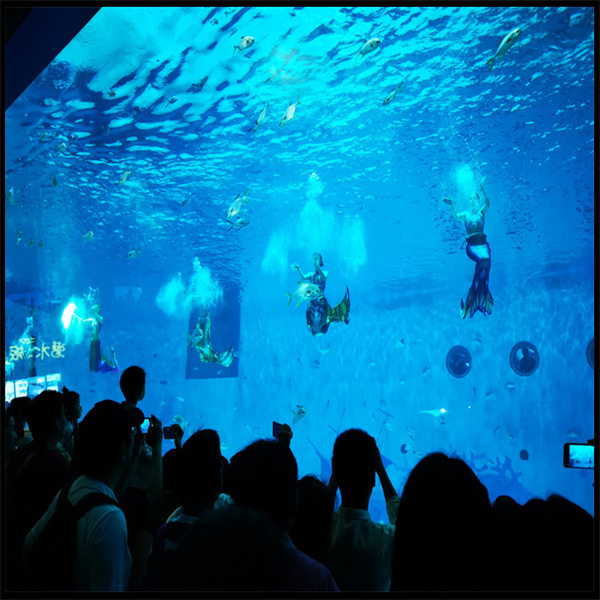 Akvarium balığının su keyfiyyətinin əhəmiyyətini anlamaq