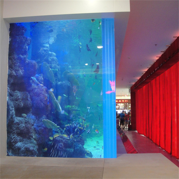 Kanatlı arkadaşlarınız için mükemmel ev