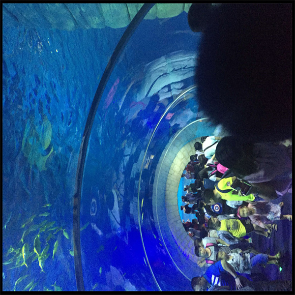 가격 참조 및 유지 보수 정보