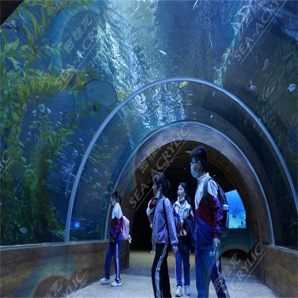 모든 예산에 적합한 최고의 어항 탱크 아크릴 브랜드