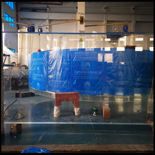 Tingkatkan Rupa dan Fungsi Kolam dengan Akrilik Dipesan