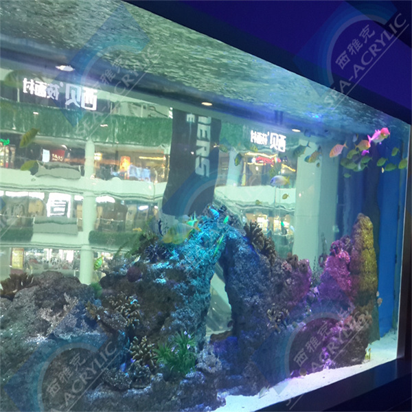 Inconvénients de l'installation d'une piscine en plexiglas : coûts élevés et entretien