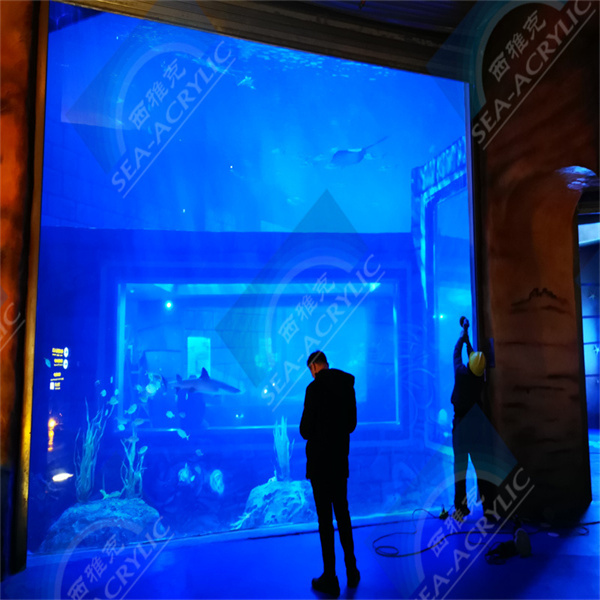 크기 및 모양 세부 사항