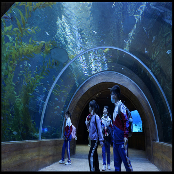 Come pulire e mantenere correttamente il tuo acquario in acrilico