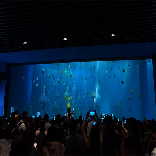 Alami keajaiban kehidupan laut secara dekat dengan tangki ikan terowongan akrylik.