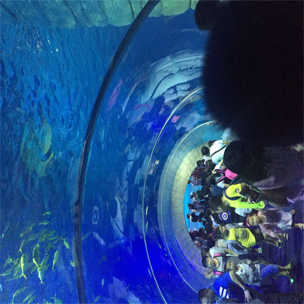 Kaip akrylo technologija keičia žuvų savininkų požiūrį