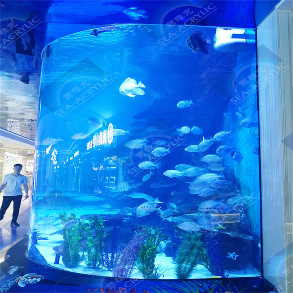 왜 아크릴이 대용량 어항 탱크에 더 나은 선택인가