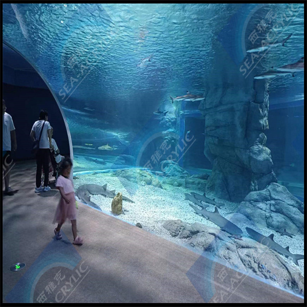 Create a stunning visual effect with acrylic curved pool walls