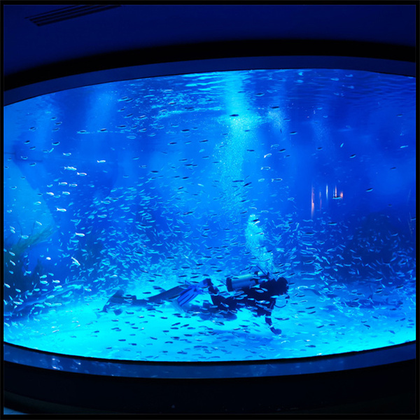 Maintaining Water Quality in Your Fish Tank Aquarium