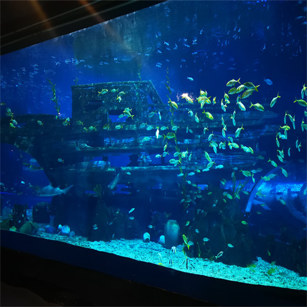Create a mesmerizing centerpiece with a 2 meter wide cylinder aquarium.