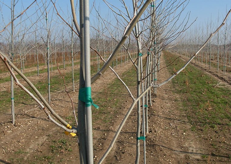 agricultural-7