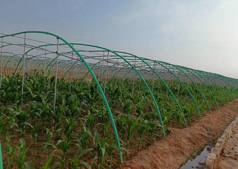 agricultural-13
