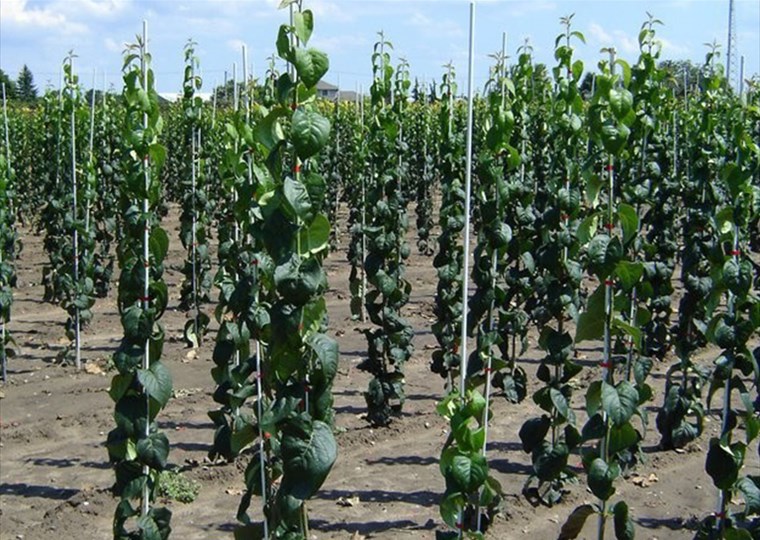 agricultural-1