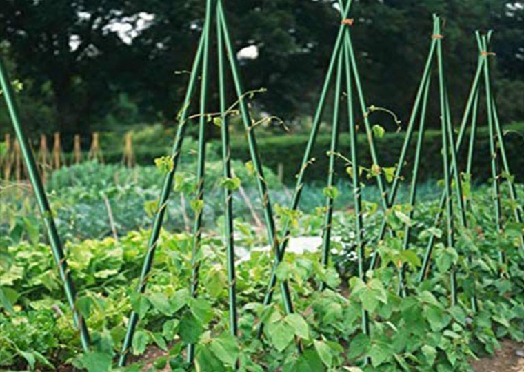 agricultural-3