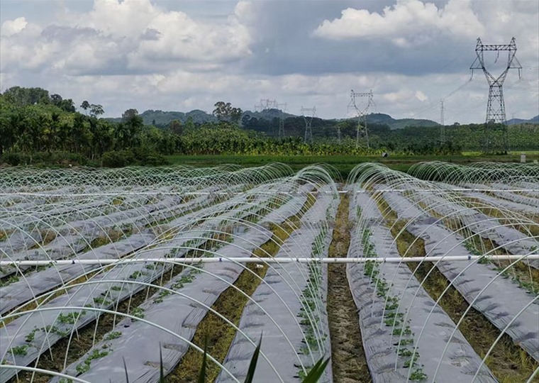 agricultural-16