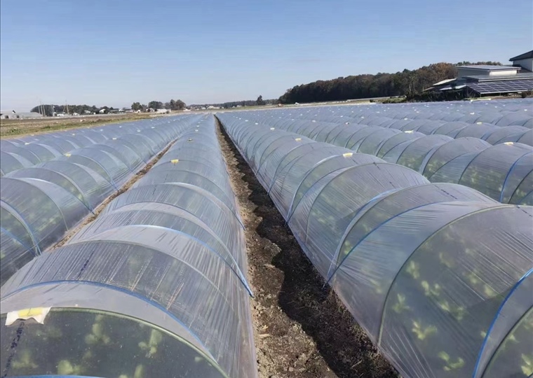agricultural-11