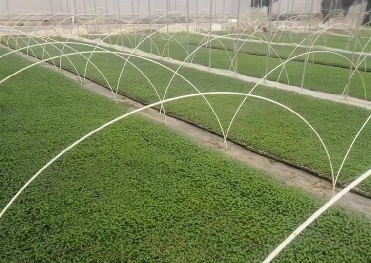 agricultural-15