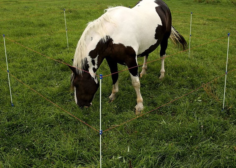 agricultural-17