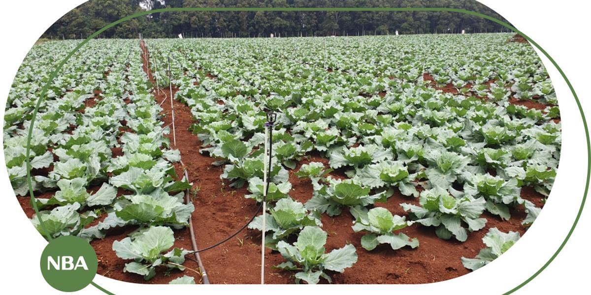 agricultural-8