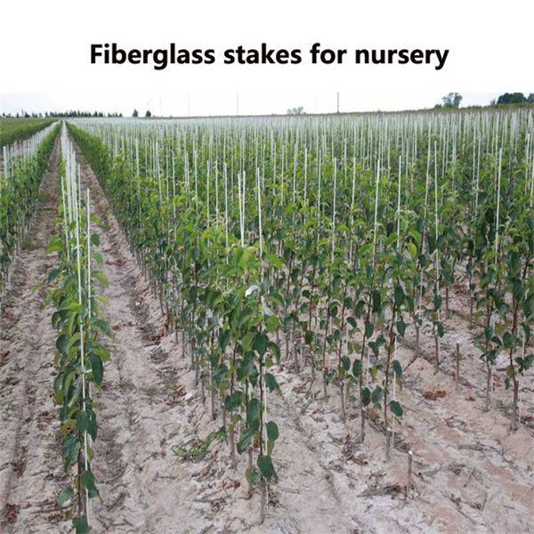 How Glass Fibre Tubes are Revolutionizing Industries.