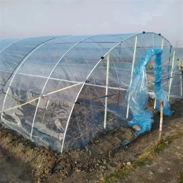 Opdag den overlegne styrke og holdbarhed af glasfiber dowel stavar