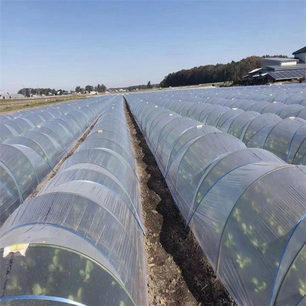 3 16 Струпа од стаклених влакана за различите примене