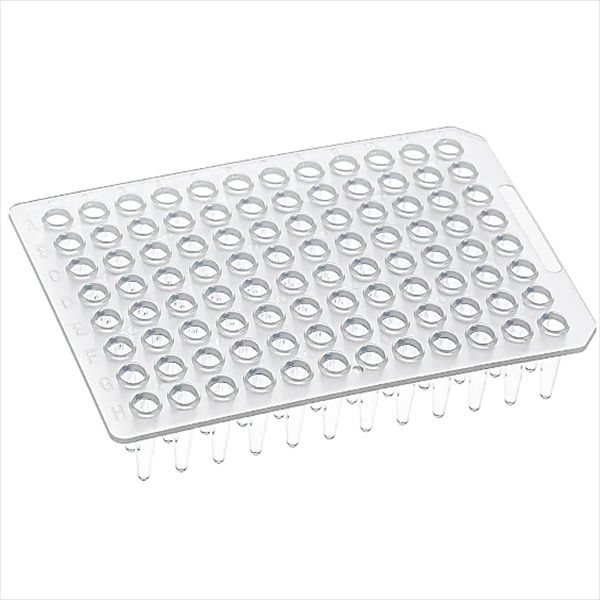 ת Peblish של לוחות PCR ב-96 אופנים