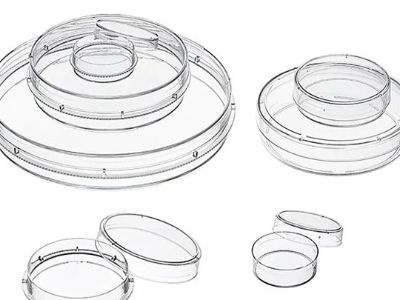 Application of Pasteur pipette in cell culture