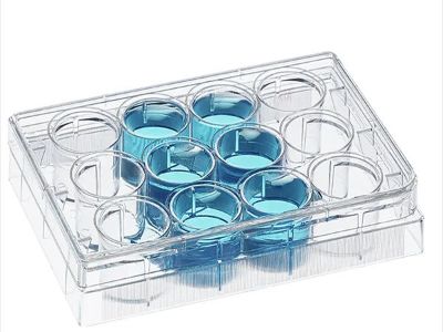 Tips for using deep-well plates in drug screening experiments