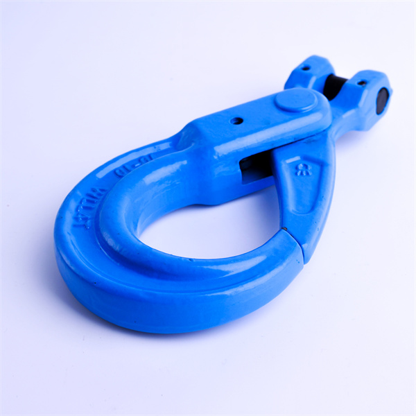 Piliin ang Tamang Bantas at Limitasyon ng Timbang ng Hook