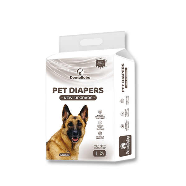 Practical Tips for Using Dog Diapers on Male Dogs for Poop Control