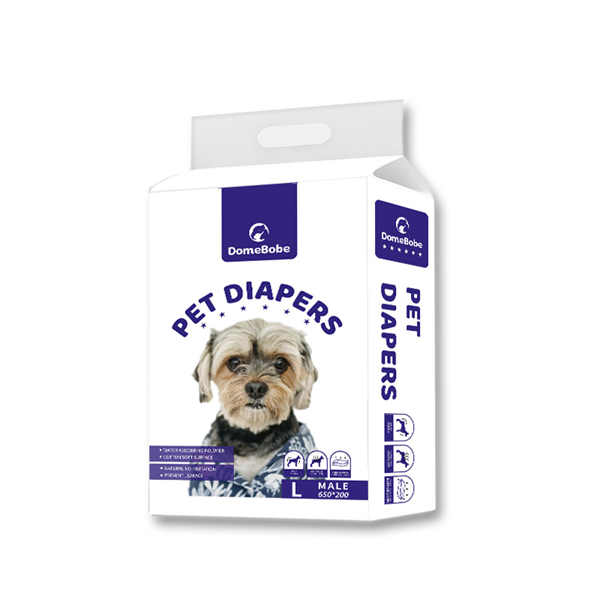 Living a Clean, Stress-Free Life with Diapered Dogs