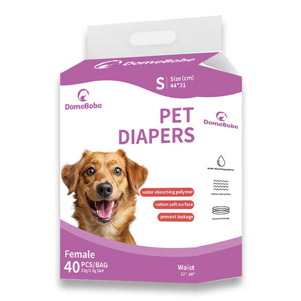 Protecting Your Home with Small Male Dog Diapers