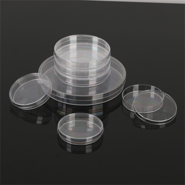 Bagaimana Cara Membuang Piring Petri Plastik dengan Benar untuk Mengurangi Dampak Lingkungan?