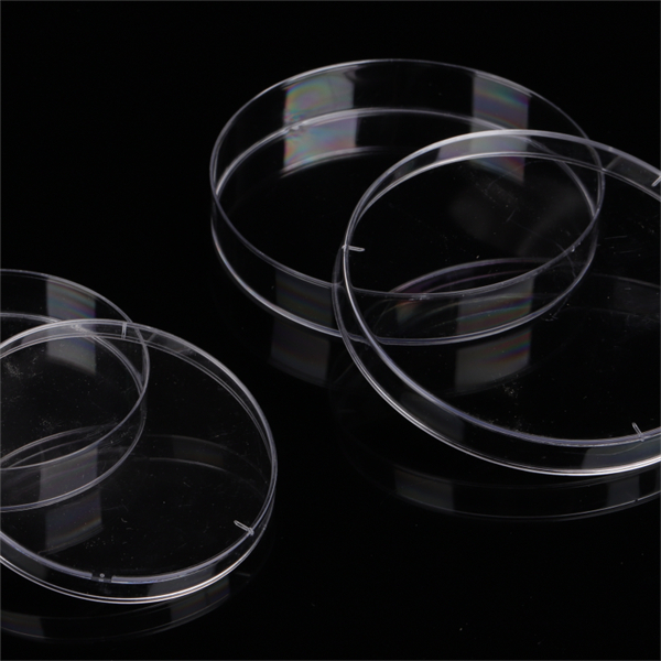 Alternatif Ramah Lingkungan untuk Piring Petri Plastik Tradisional