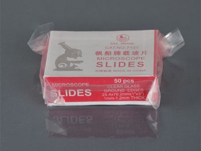 How Precision-Grade Glass Slides Improve Histopathology Accuracy