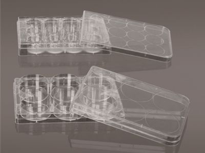 What Makes Filter Tips Critical for Sensitive PCR Applications