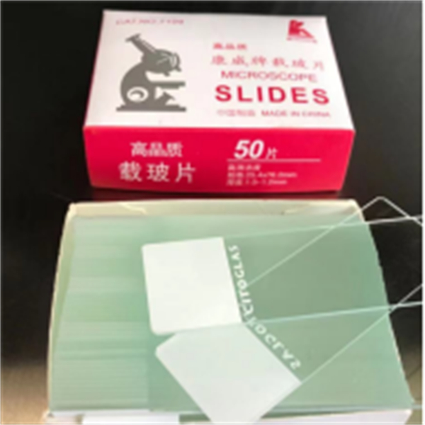 Élet építőköveinek közelebbről való megtekintése minőségi mikroszkóposztokkal