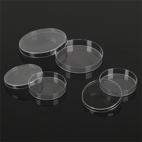 Menjelajahi Keterampilan Piring Petri Plastik dalam Berbagai Aplikasi Ilmiah